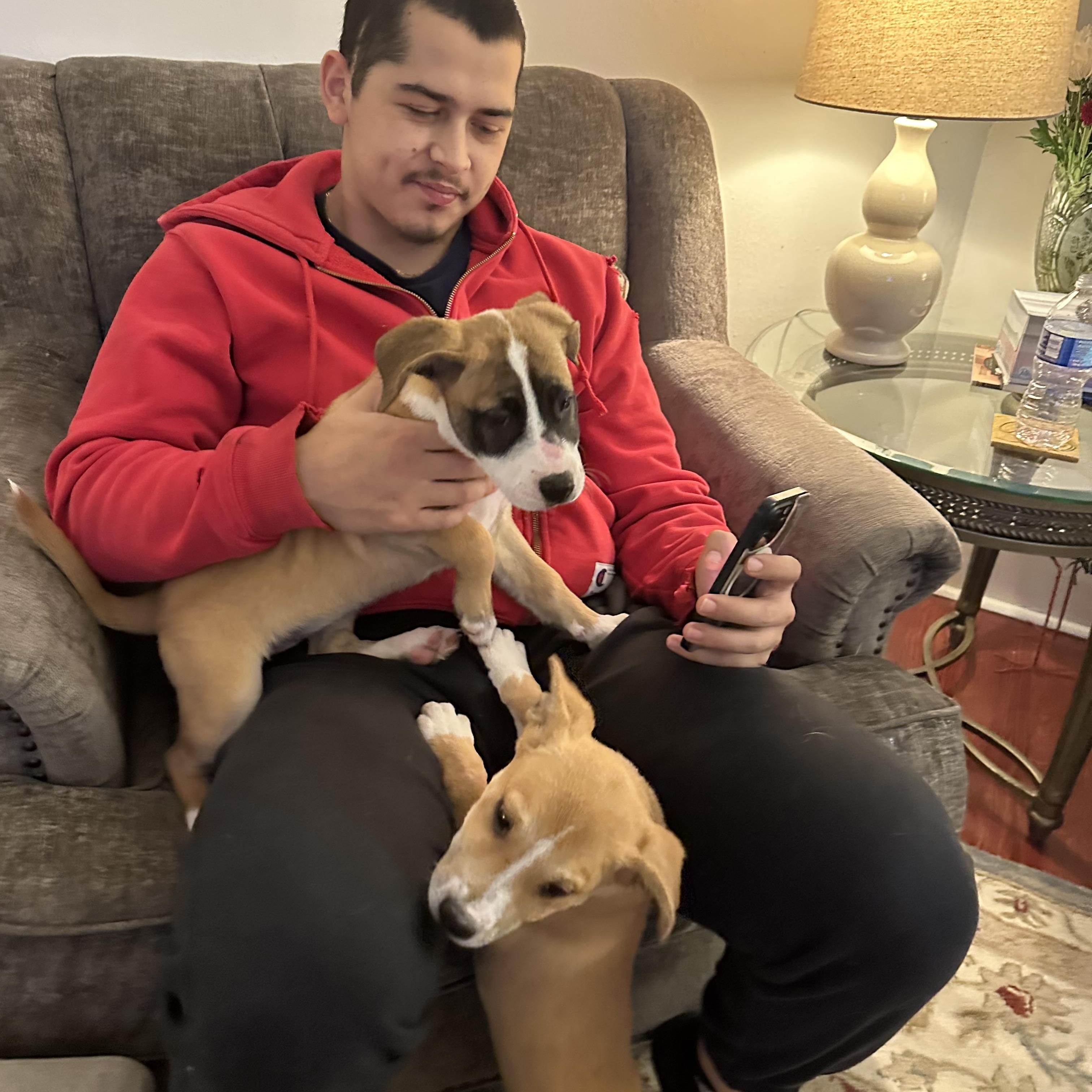 Enlarge Hiddi, a Adoptable mixed breed in Newfoundland, NJ image 5/6