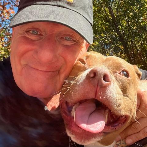 Enlarge Anastasia, a Adoptable mixed breed in Greensboro, NC image 2/6