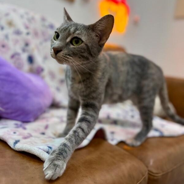 Campbell Clark — thumbnail 2