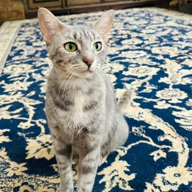 Campbell Clark — thumbnail 5