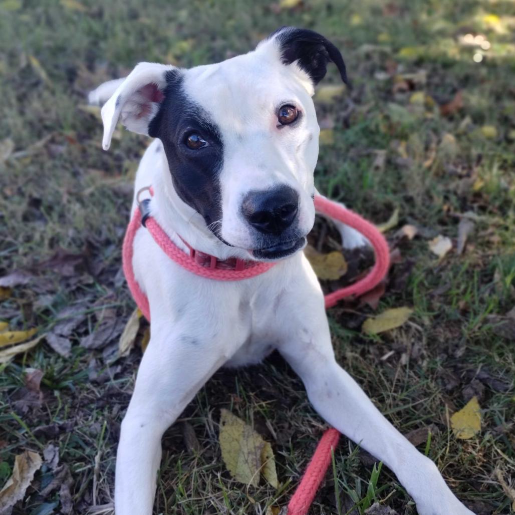 Maisy — thumbnail 2