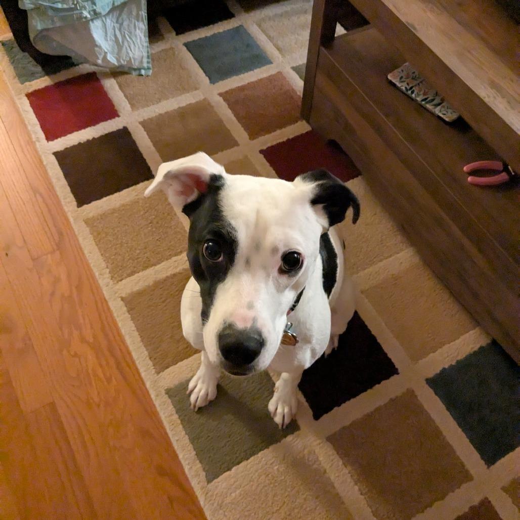 Maisy — thumbnail 6