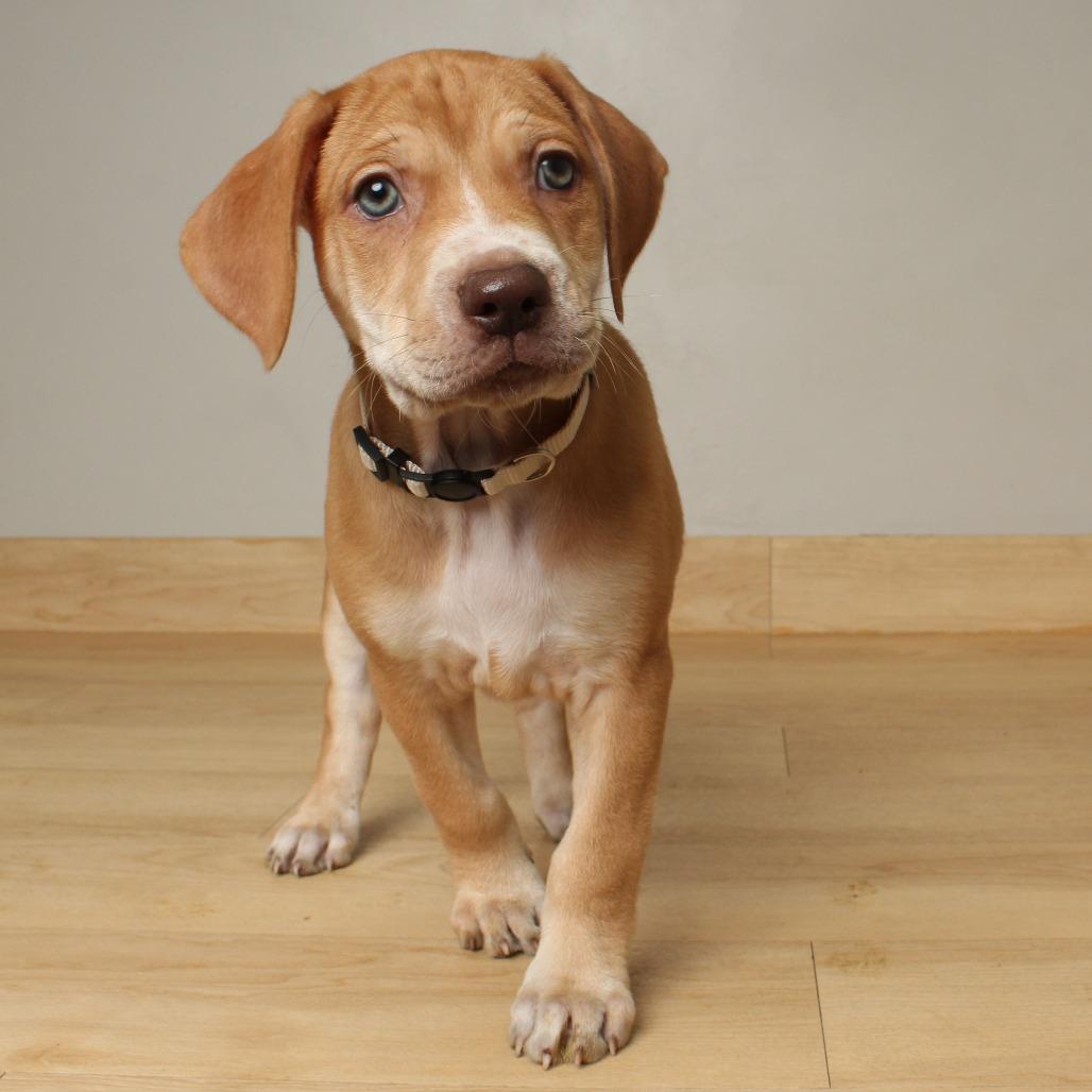 Emmy Lou D thumbnail 2