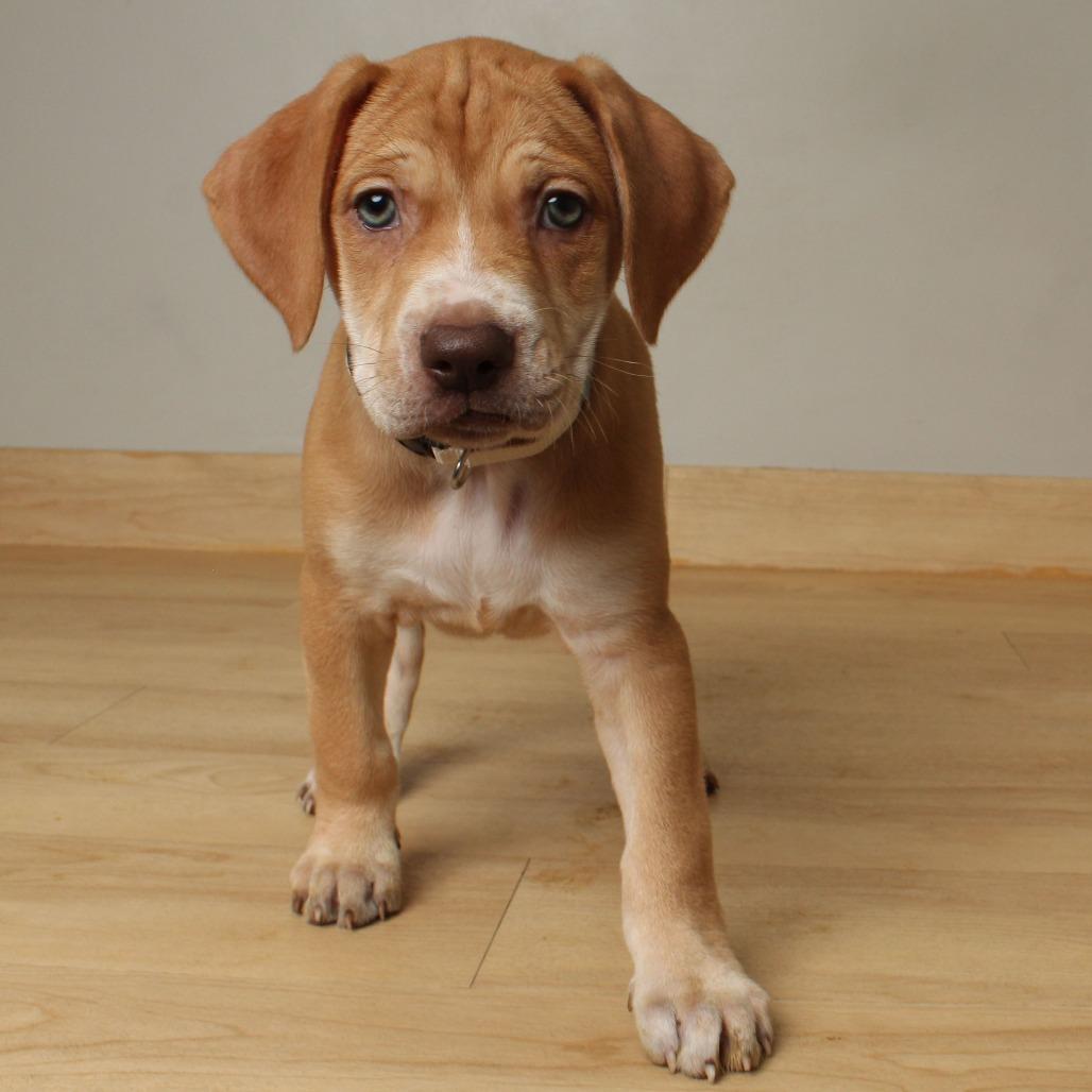 Emmy Lou D thumbnail 3