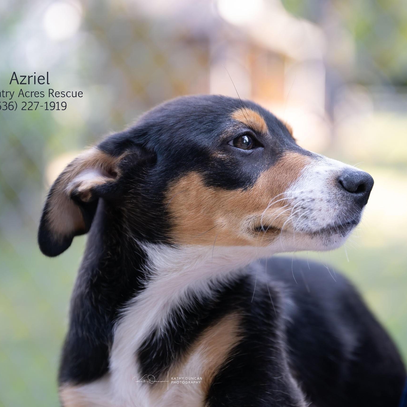 Azriel