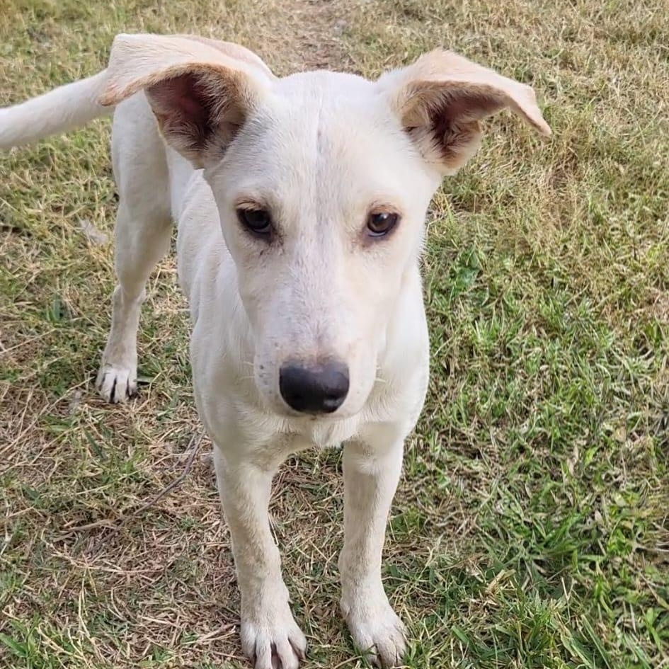 Louise — thumbnail 3