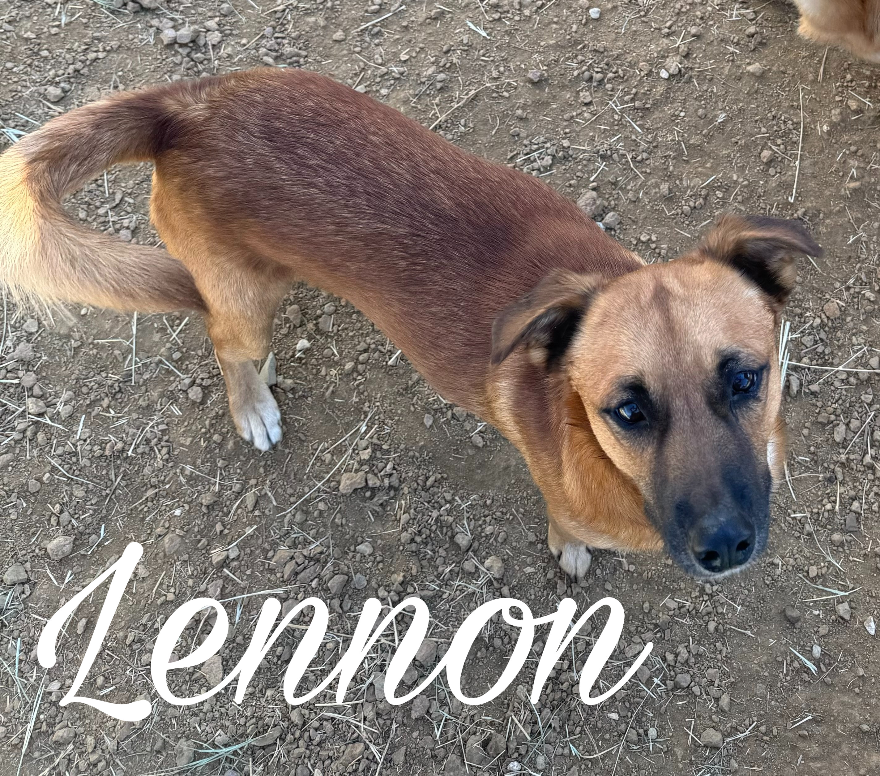 Lennon, Young Male unknown