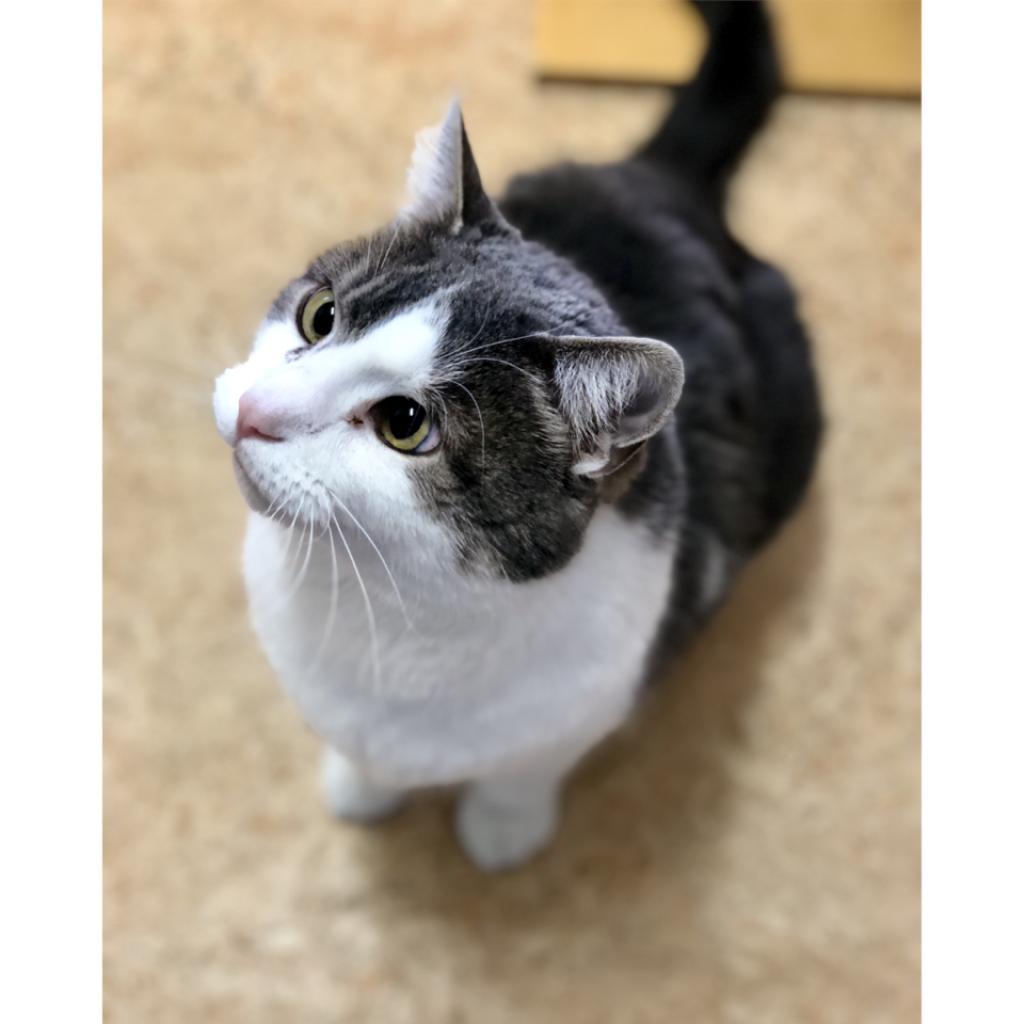 Highway — thumbnail 2