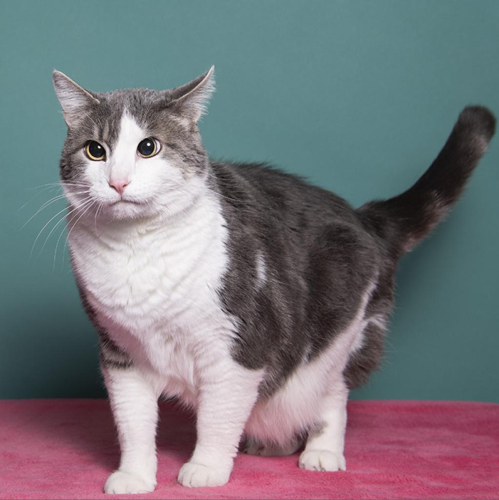 Highway — thumbnail 3