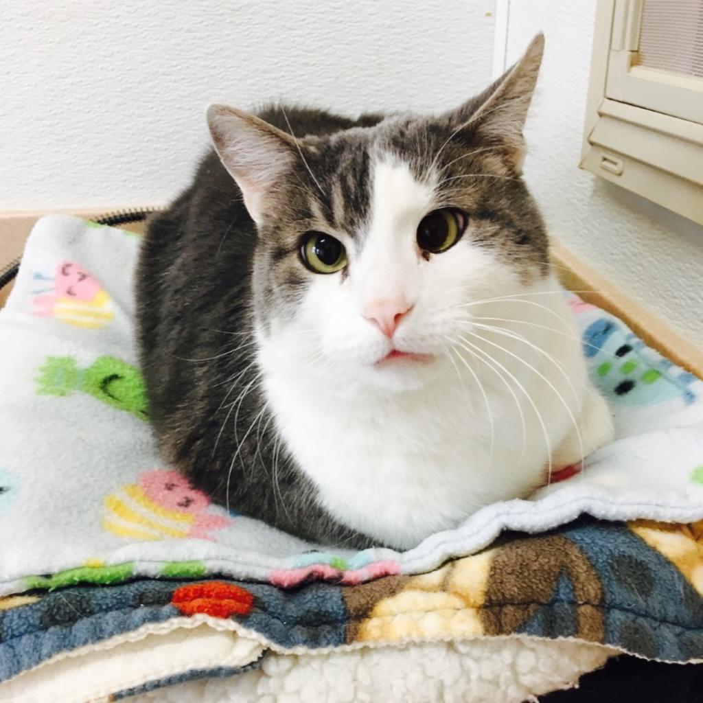 Highway — thumbnail 6