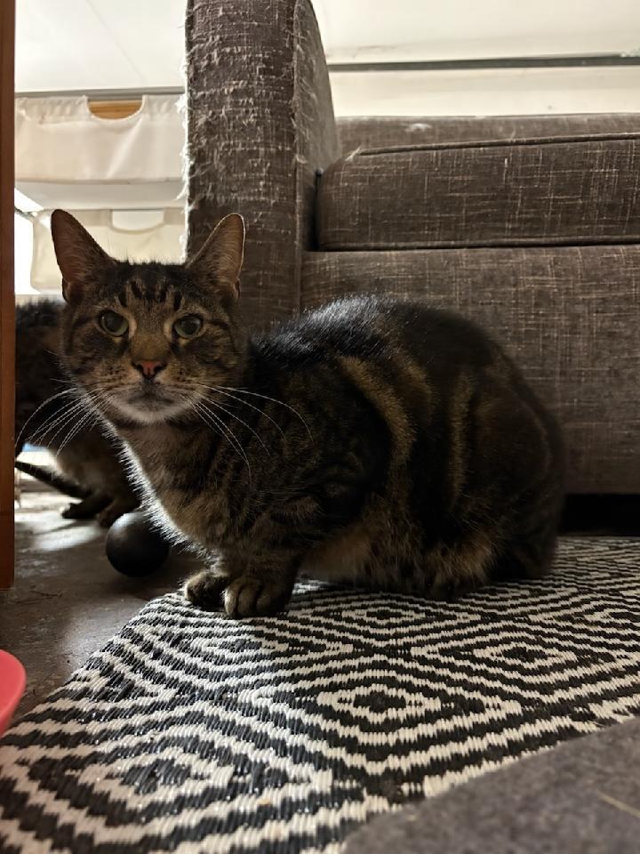 Chrissy & Tom Whittington (Sweet, loving duo!) — thumbnail 2