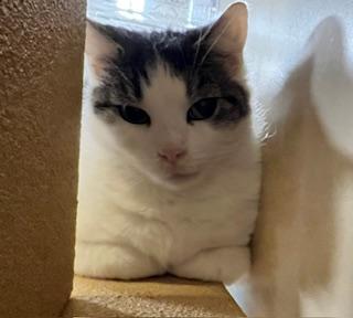 Chrissy & Tom Whittington (Sweet, loving duo!) — thumbnail 3