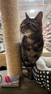 Chrissy & Tom Whittington (Sweet, loving duo!) — thumbnail 4