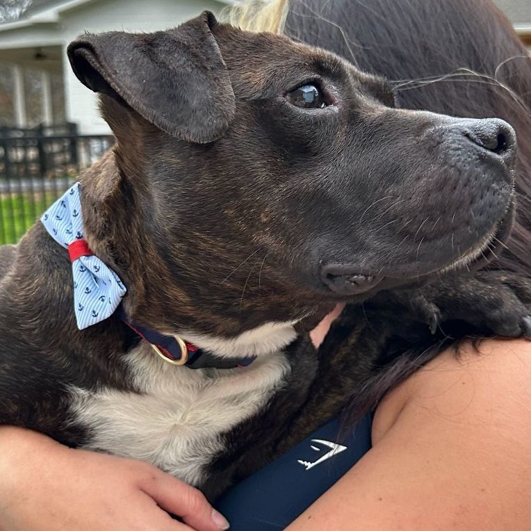 Chico - Turnkey Sweetheart!!!