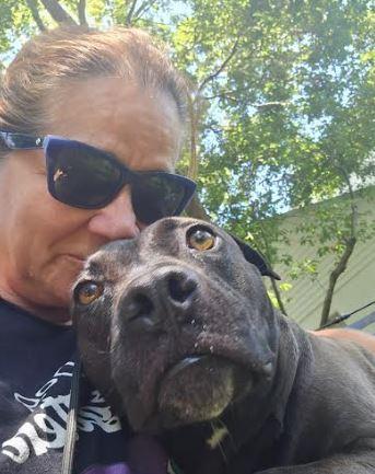 Enlarge Lacey, a Adoptable mixed breed in Palm Harbor, FL image 3/6