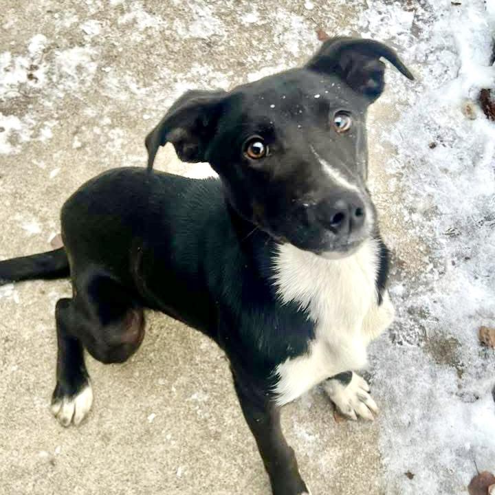 Ernest — thumbnail 2