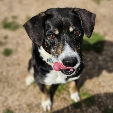 Ernie