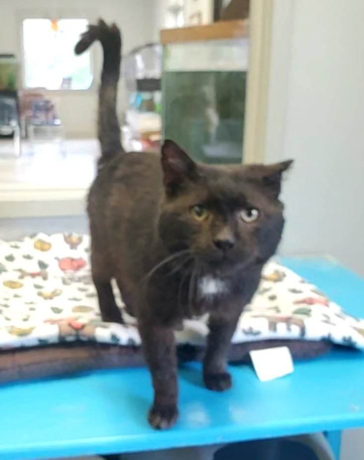 Big Joe, Senior Male unknown