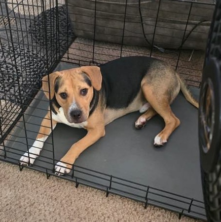 DIEGO — thumbnail 2