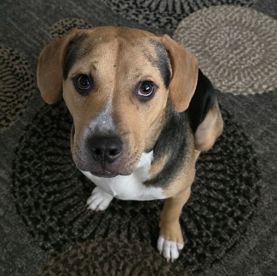 DIEGO — thumbnail 4