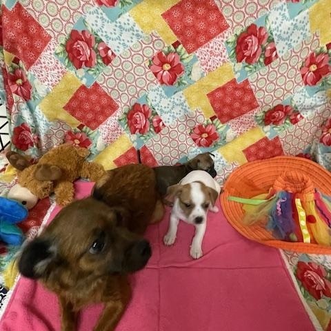 Whinny photo 1