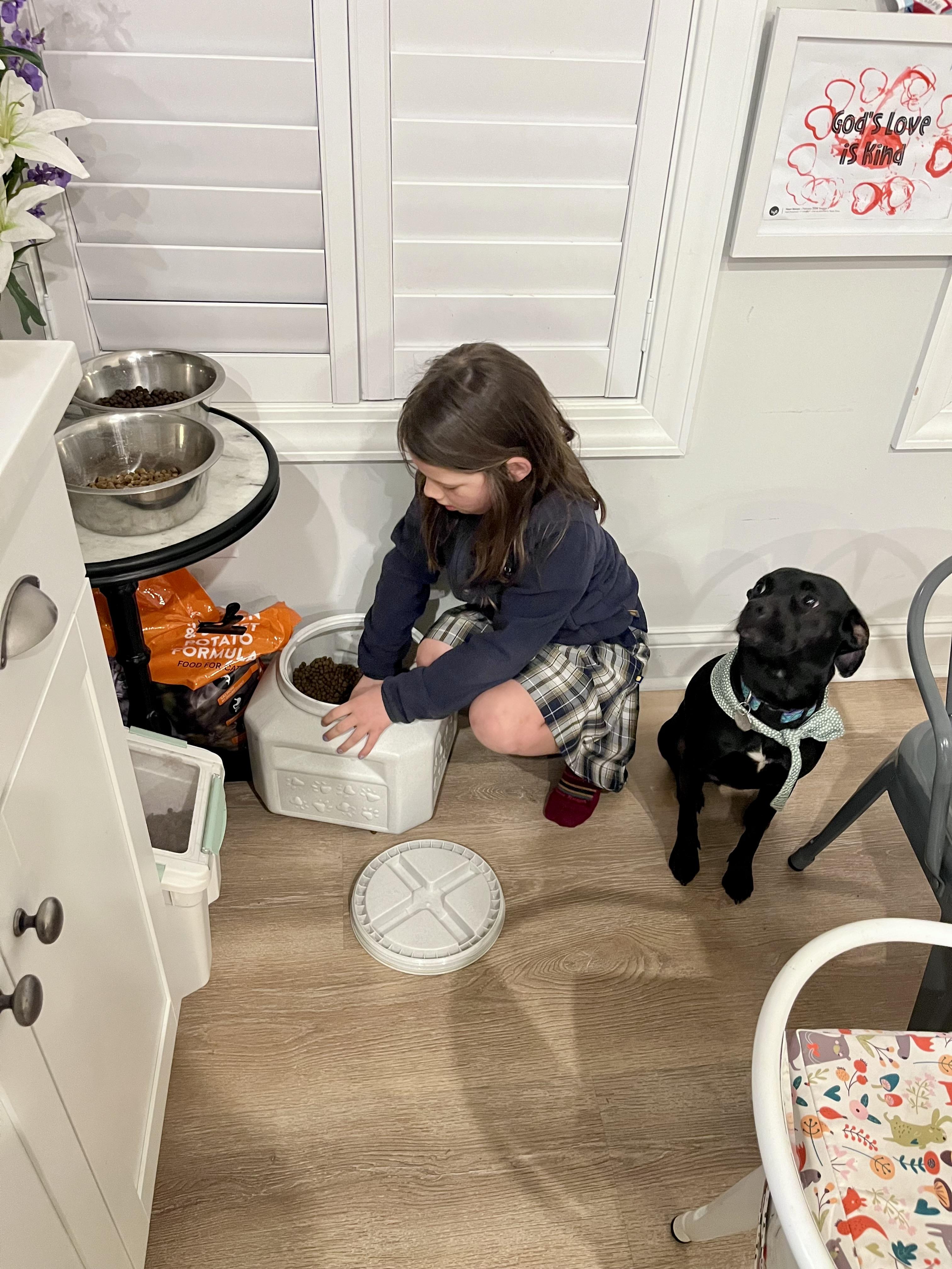 Enlarge Twinkie , a ADOPTABLE mixed breed in Mt Pleasant, SC image 1/6