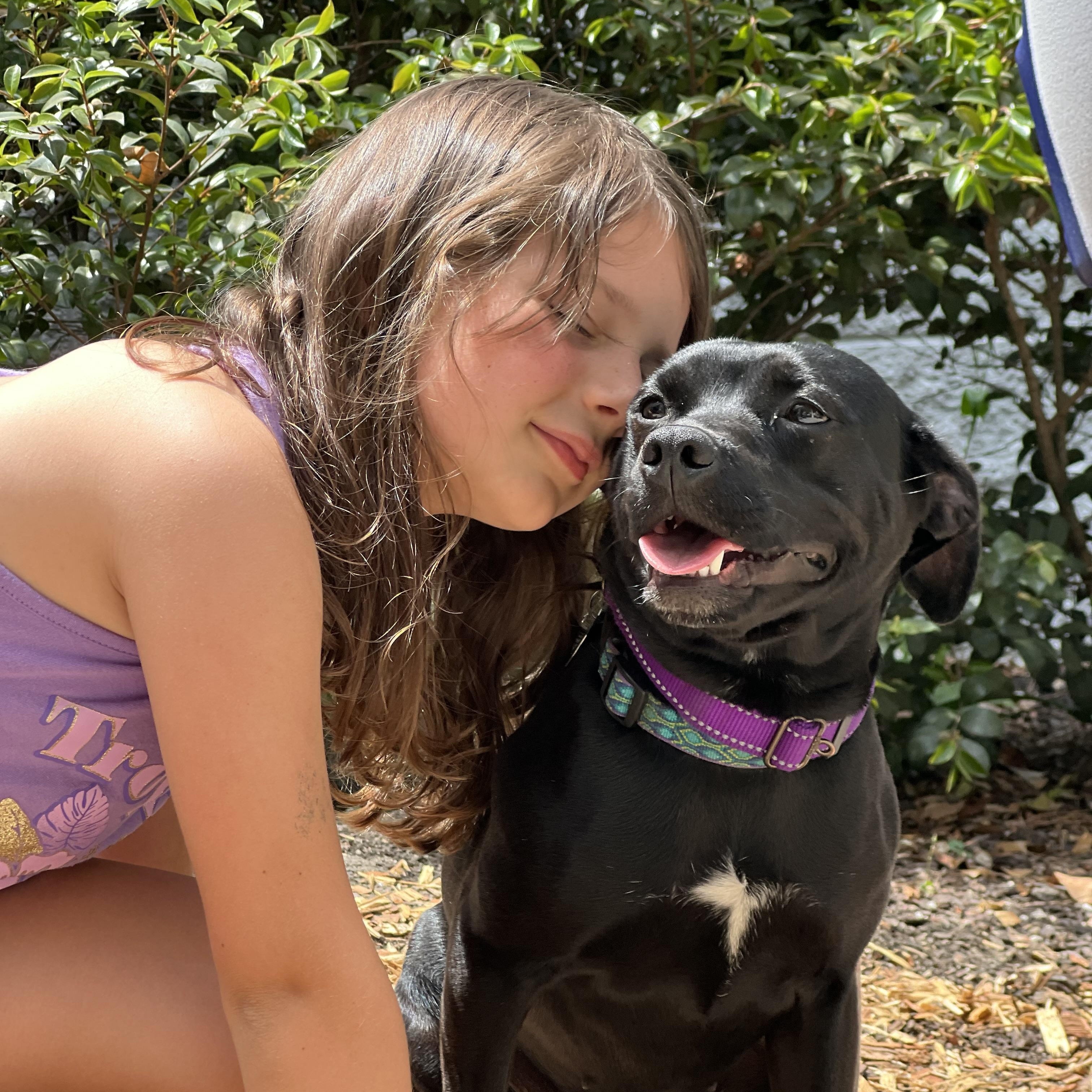 Twinkie , ADOPTABLE, Young Female Mixed Breed.