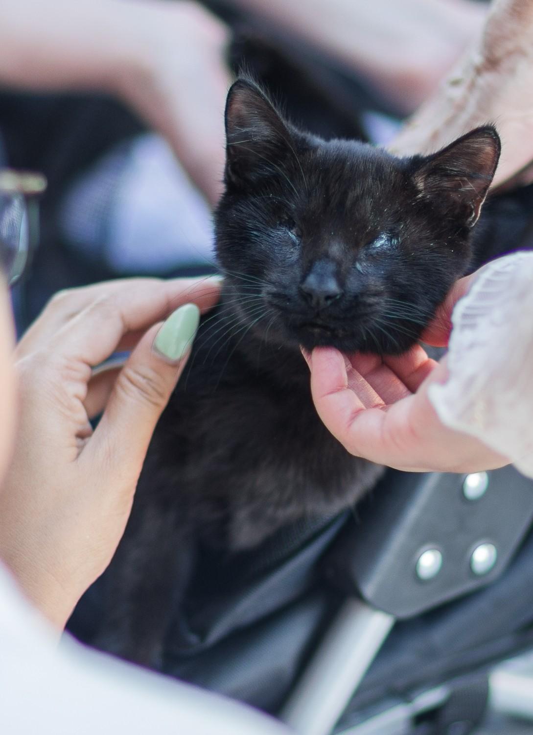 Isaac and Indy (both boys)