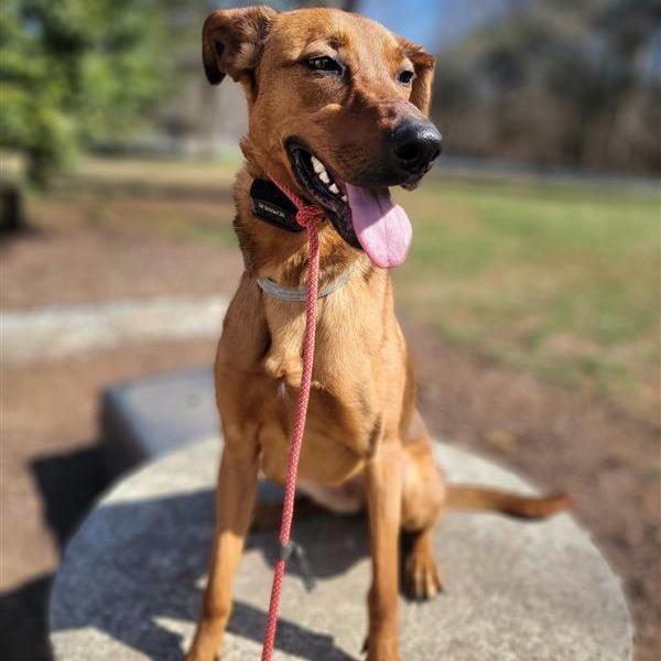 Fawn G — thumbnail 2