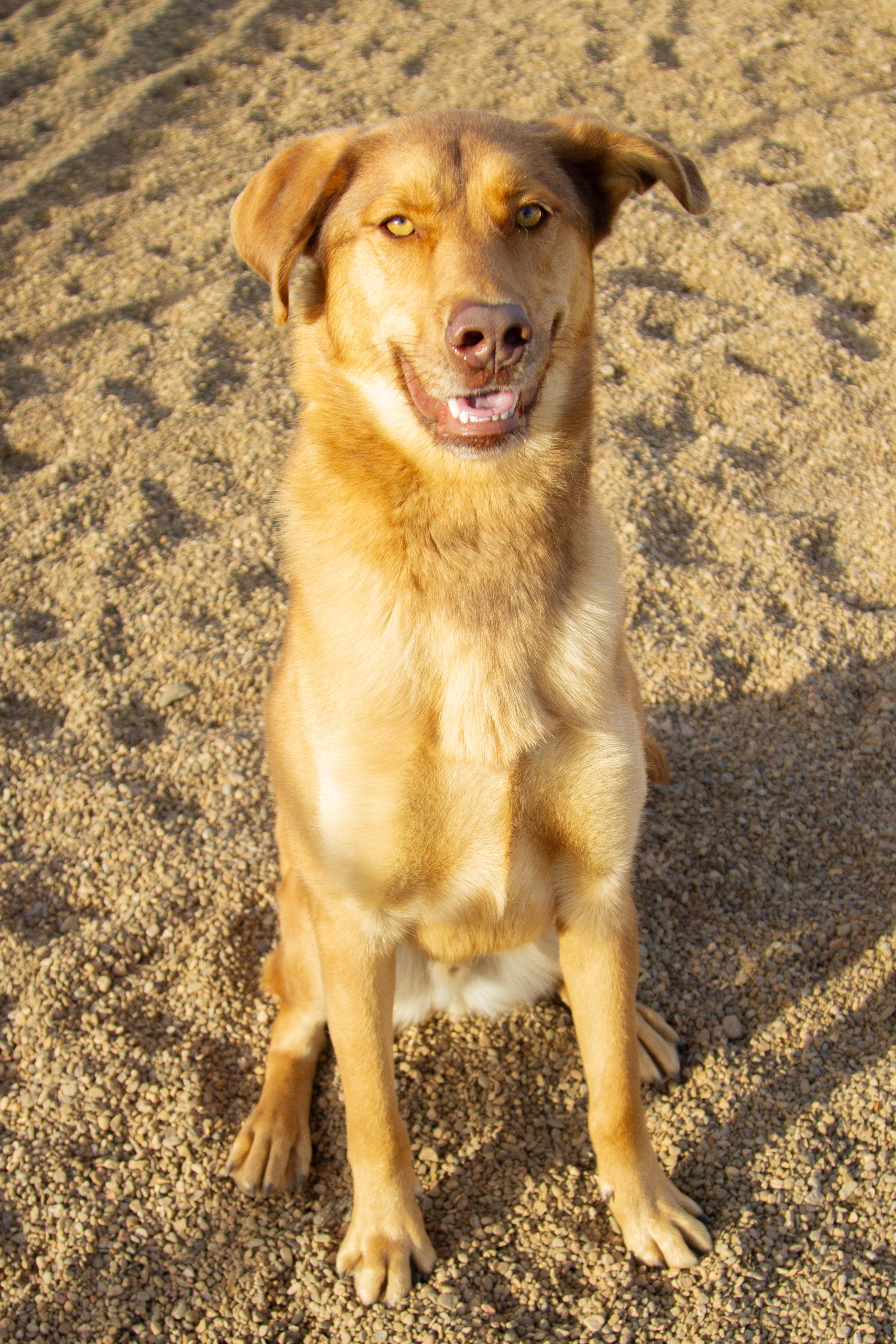 Two Stripes — thumbnail 3