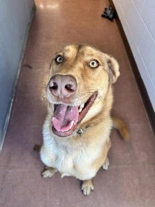 Two Stripes — thumbnail 5