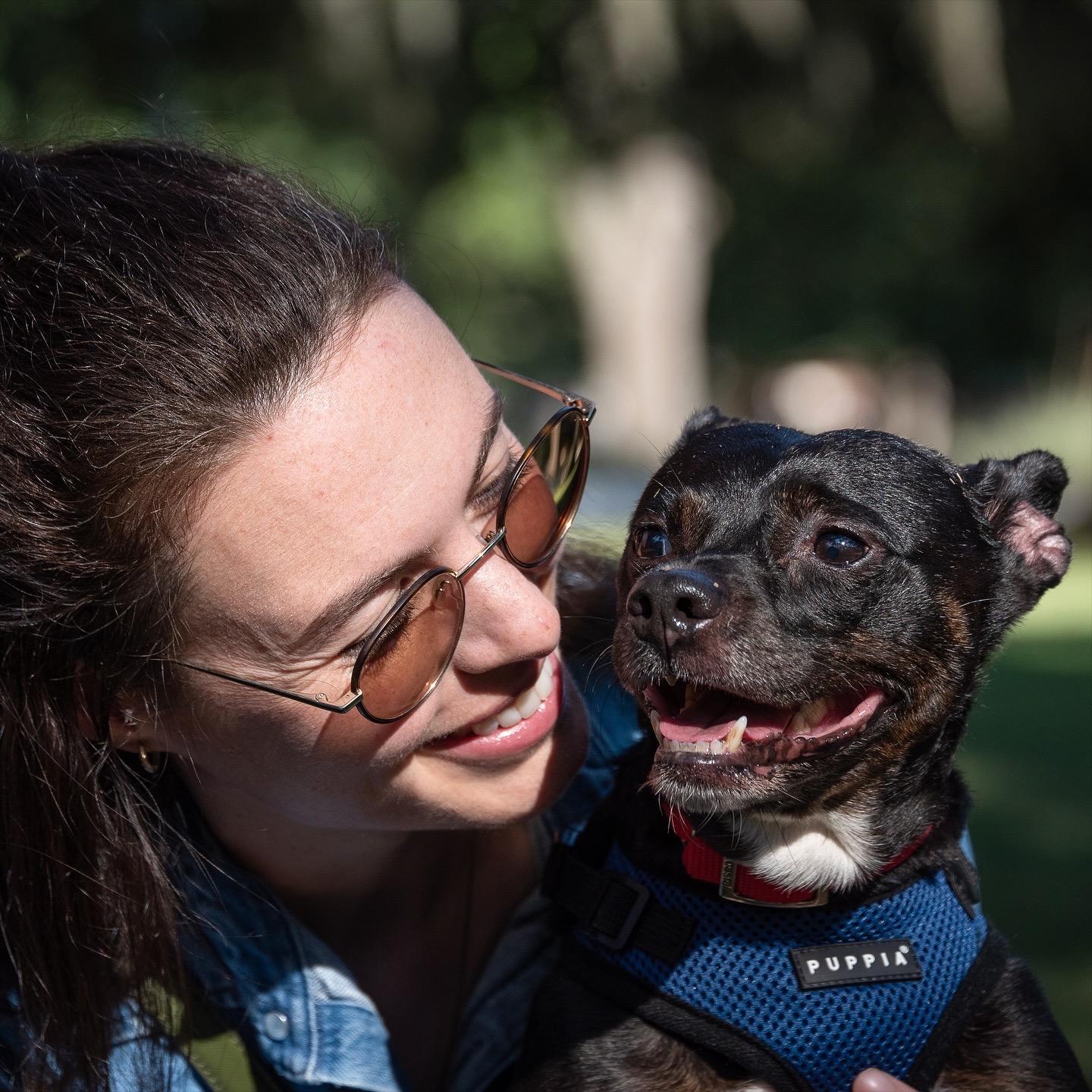 Bennie, a Adoptable mixed breed in New Orleans, LA image 2/6