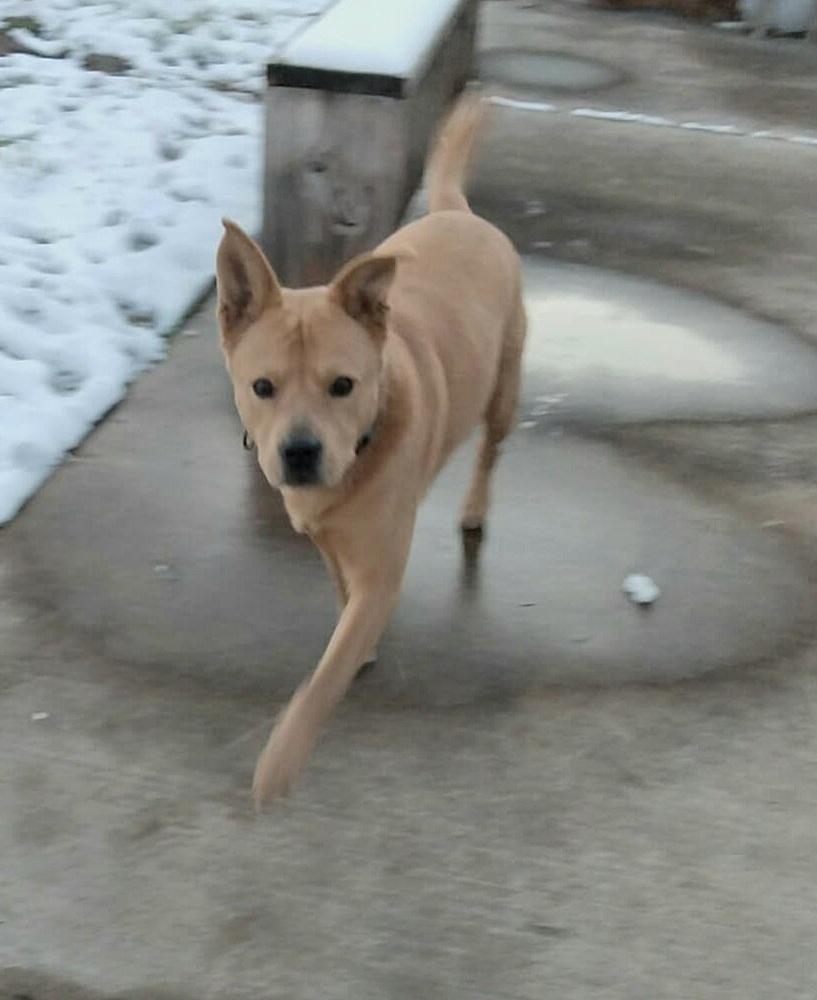 Ponchito thumbnail 4