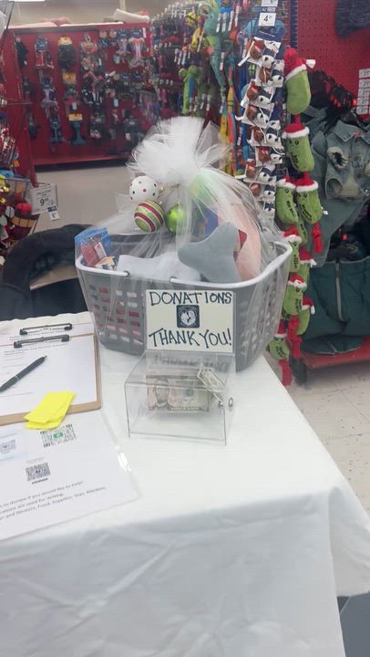 Enlarge Star, a ADOPTABLE mixed breed in Bronson, TX video 3/3