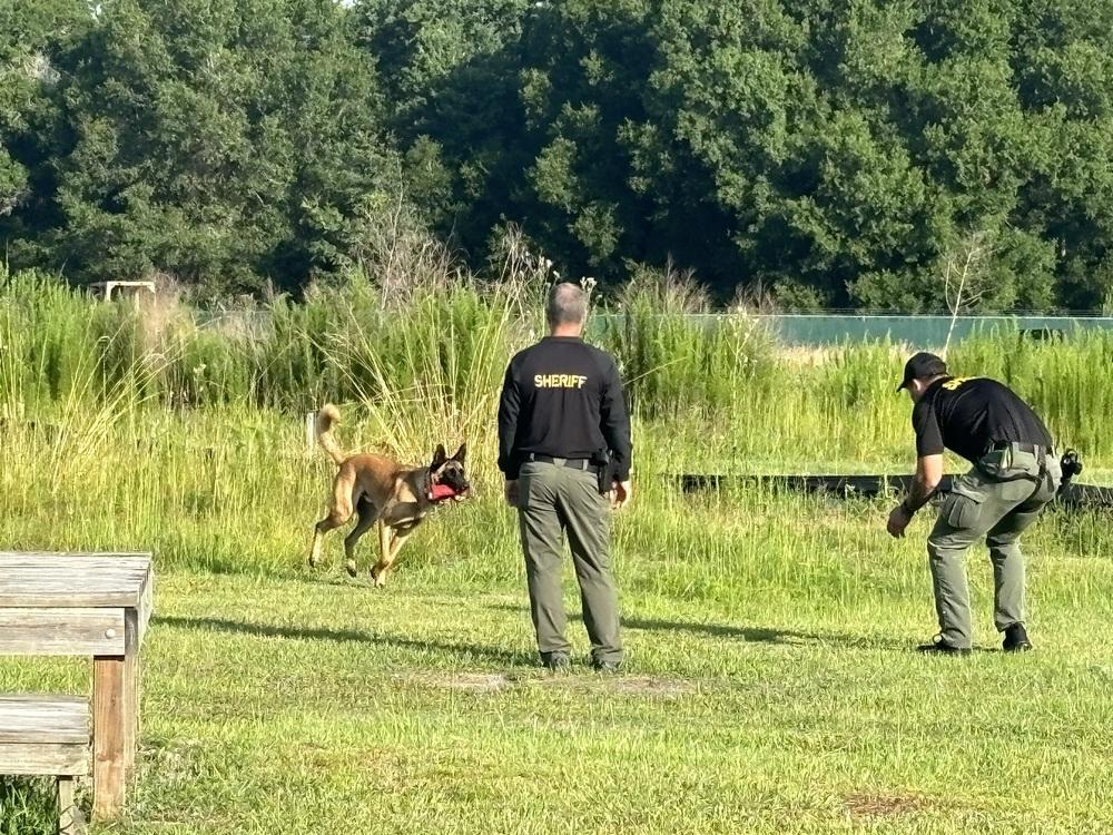 Ryker  Located In thumbnail 2