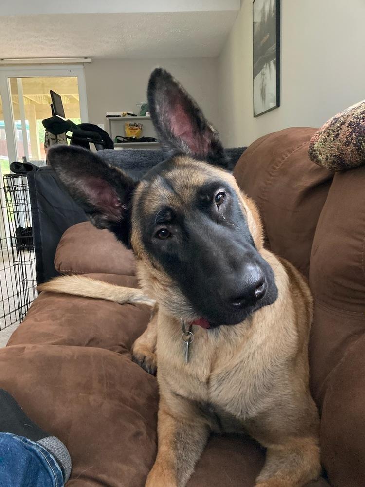 Ryker  Located In thumbnail 3