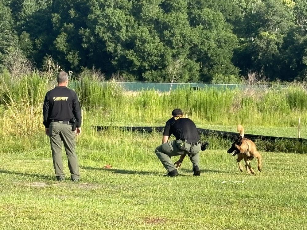 Enlarge Ryker - Located in CO, a Adoptable mixed breed in Denver, CO image 4/6