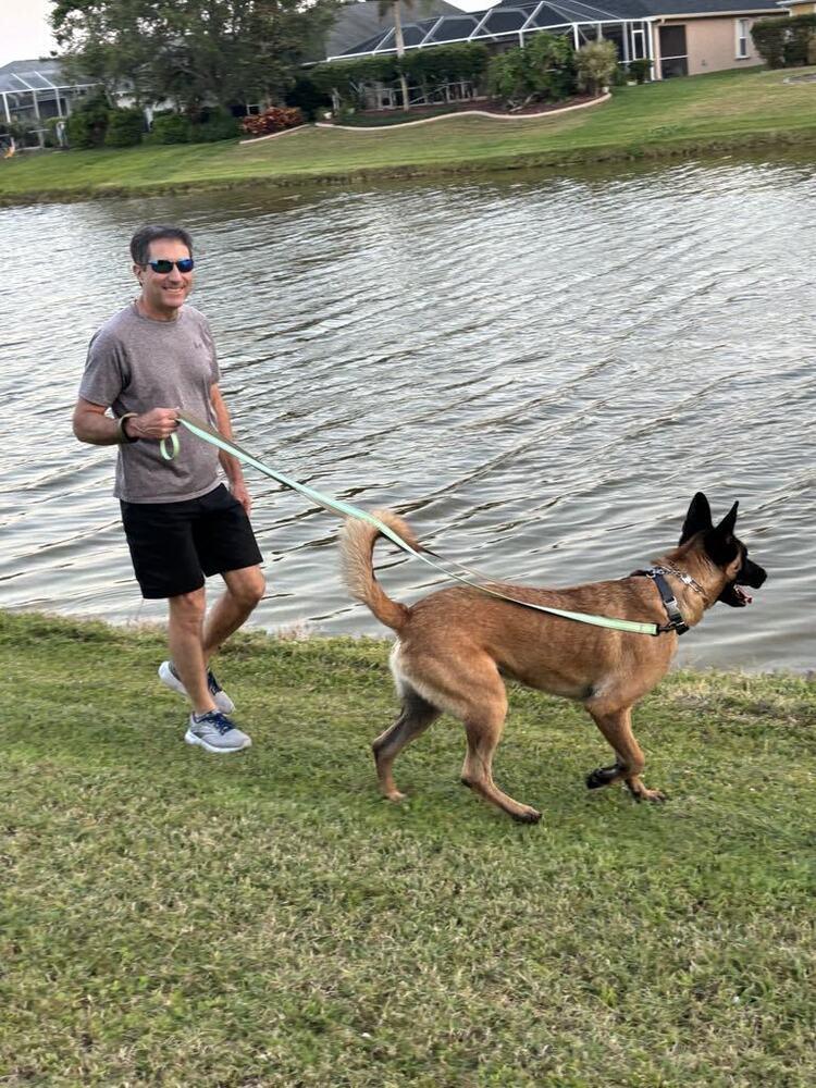 Ryker  Located In thumbnail 5