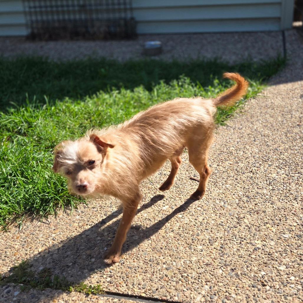 Larry — thumbnail 2