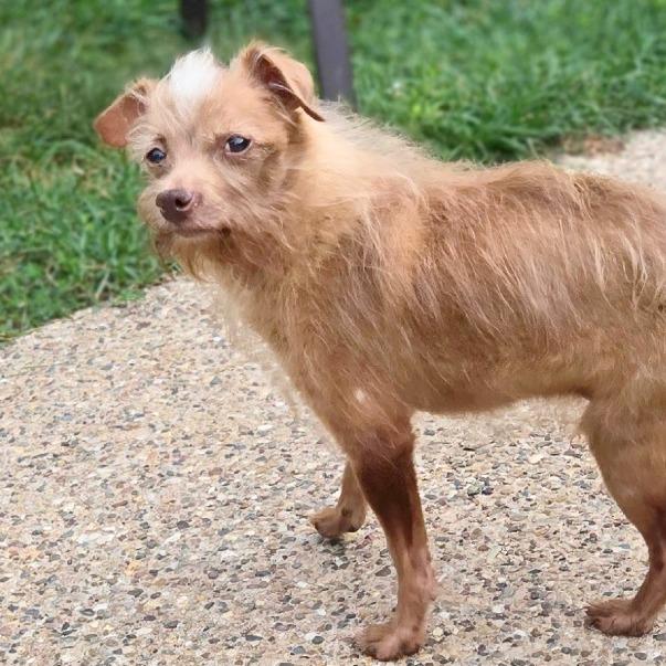 Larry — thumbnail 3