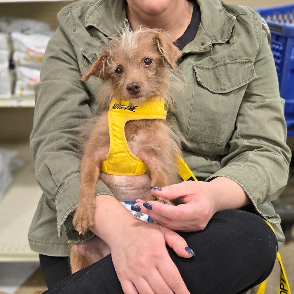 Larry — thumbnail 5