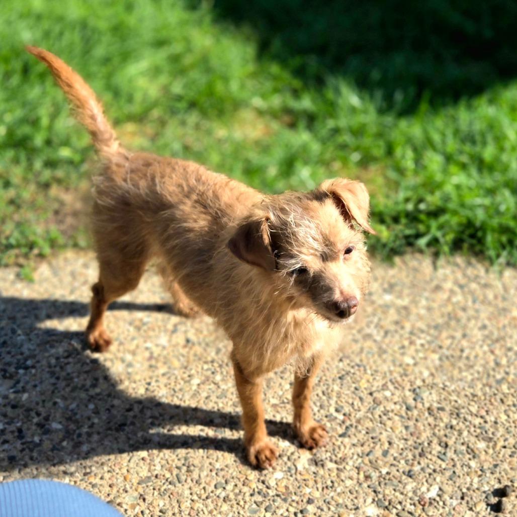 Larry — thumbnail 6