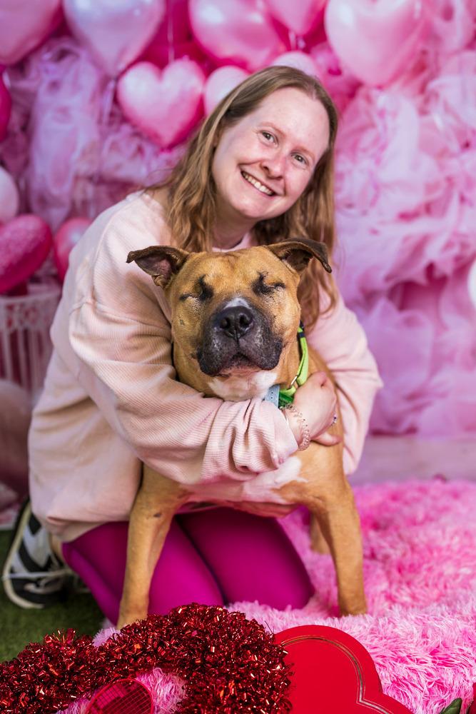 Enlarge Ramon, a Adoptable mixed breed in San Diego, CA image 3/6