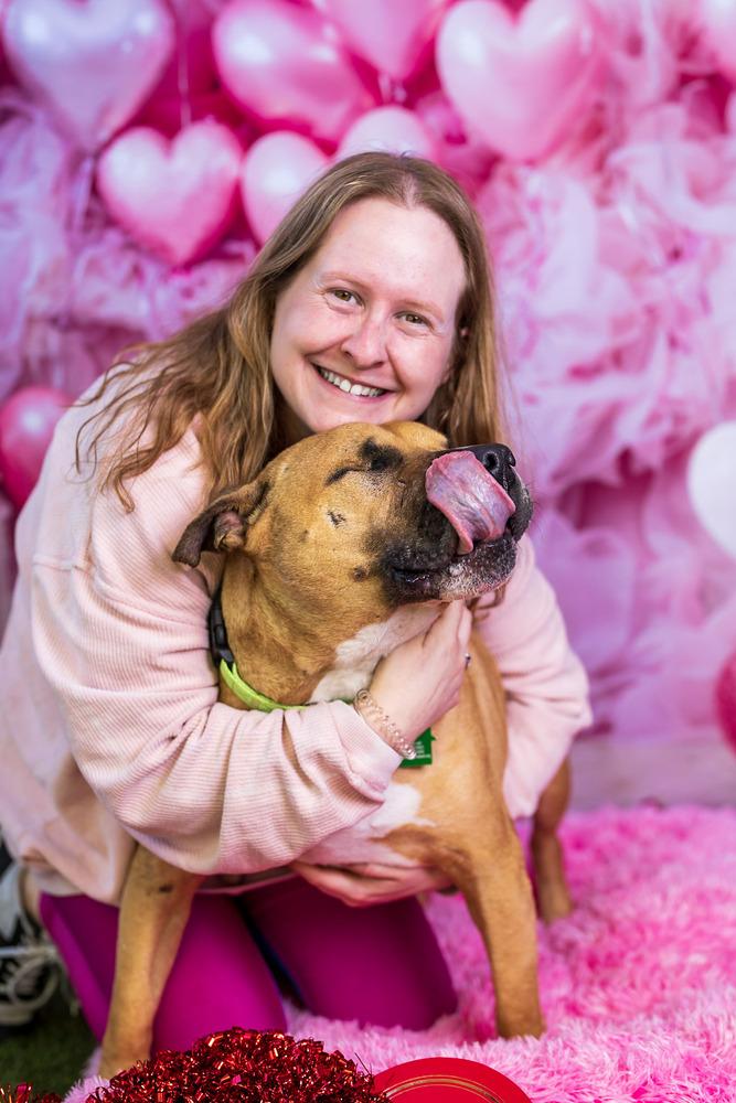 Enlarge Ramon, a Adoptable mixed breed in San Diego, CA image 4/6