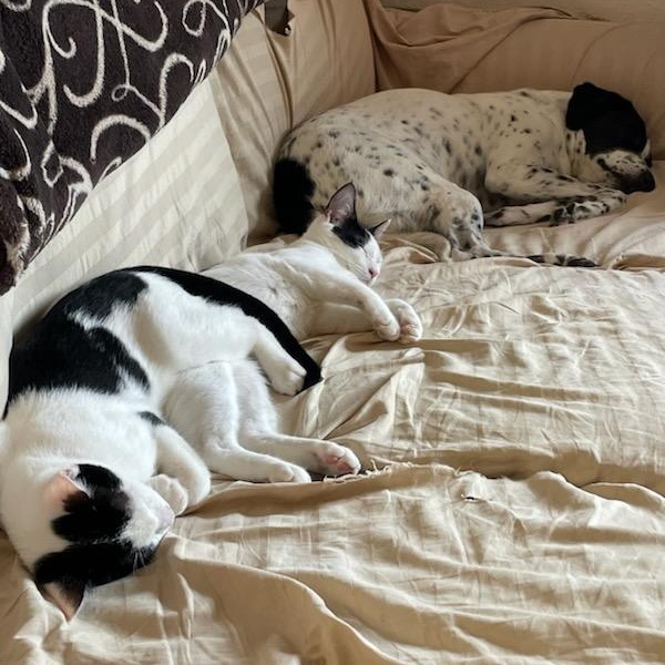 Warren (bonded with Snoop)