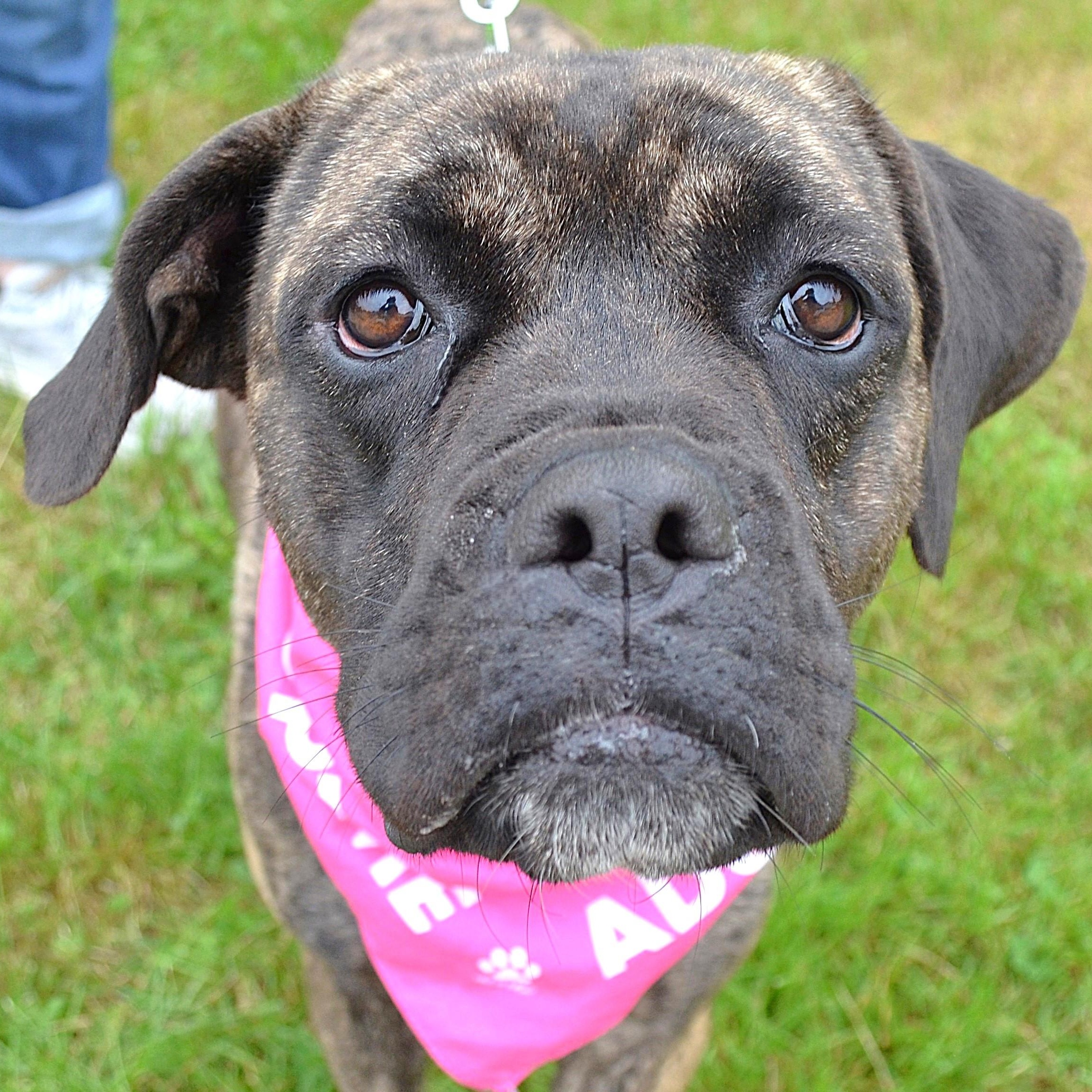 Emma - AVAILABLE NOW!!