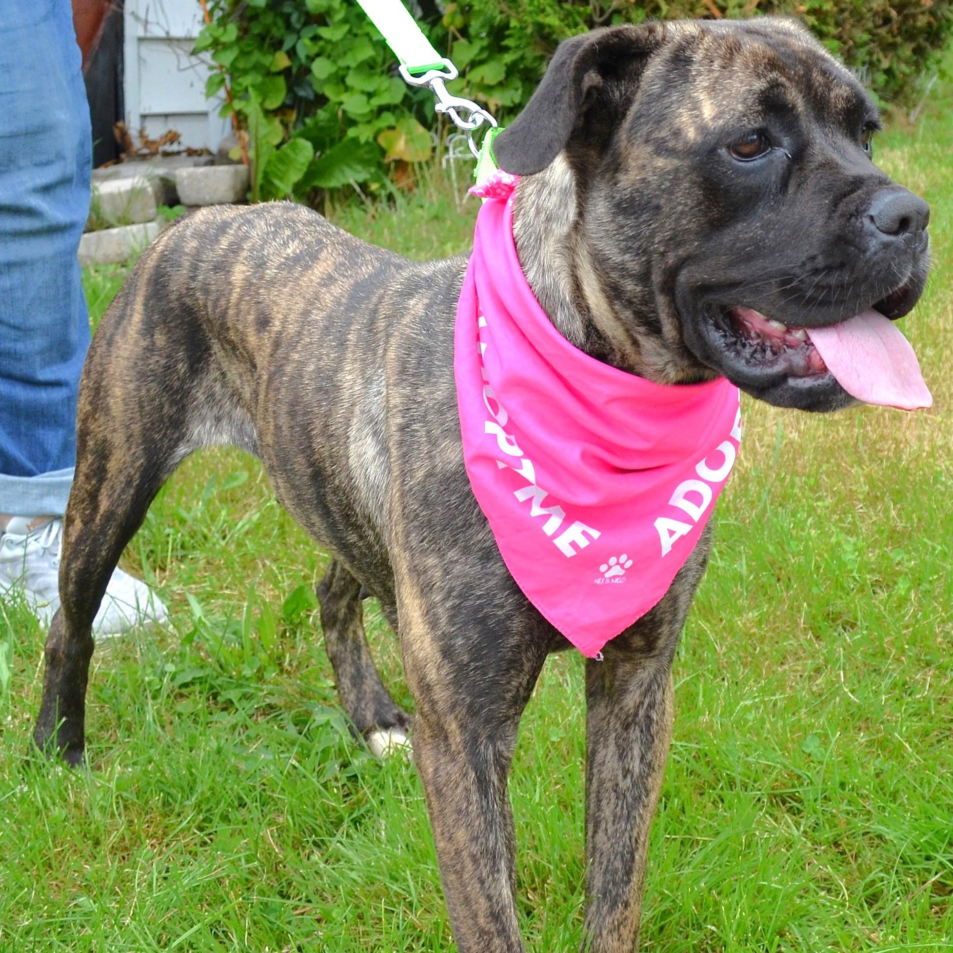 Emma - AVAILABLE NOW!!