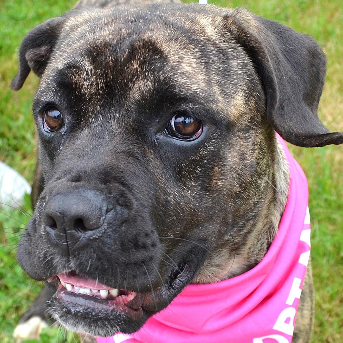 Emma - AVAILABLE NOW!!