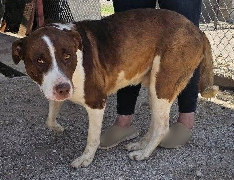 Big red — thumbnail 2