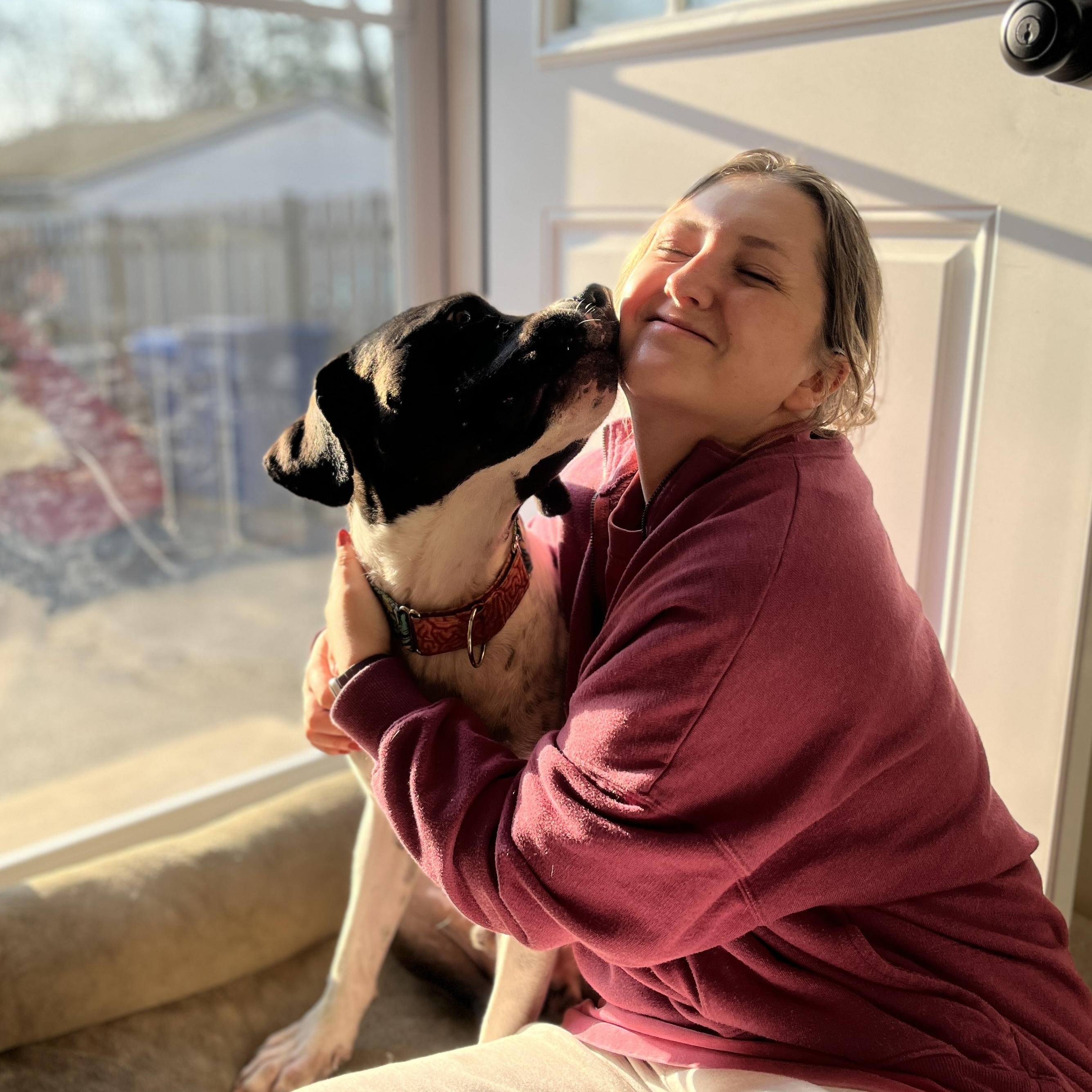 Lance, Adult Male Pit Bull Terrier
